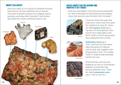 Rock Collecting For Kids