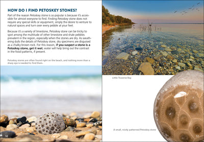 Petoskey Stone Book