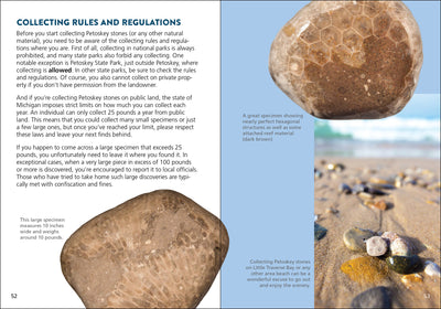 Petoskey Stone Book
