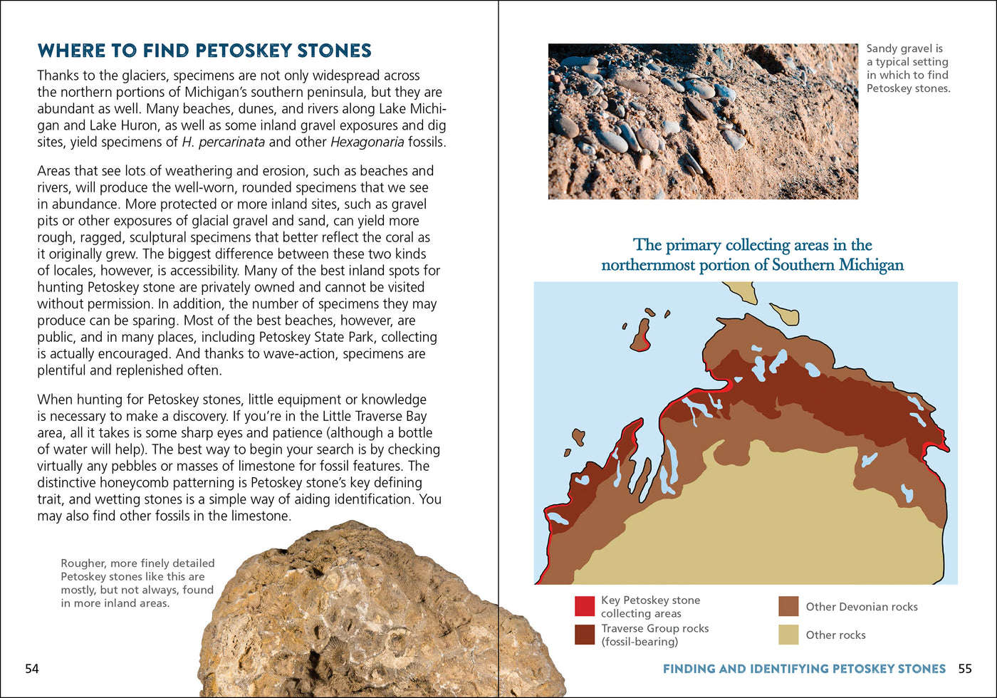 Petoskey Stone Book