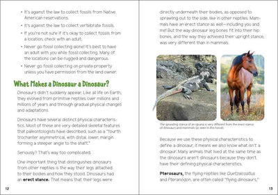 Dinosaurs For Kids Book