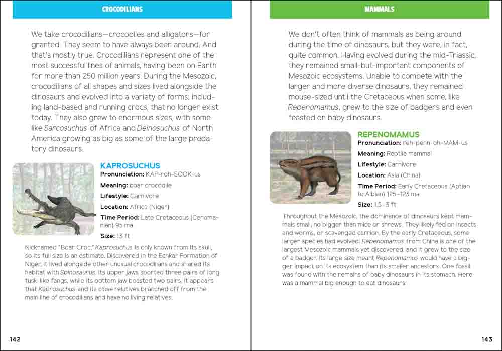 Dinosaurs For Kids Book
