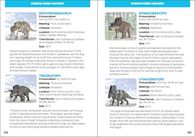 Dinosaurs For Kids Book