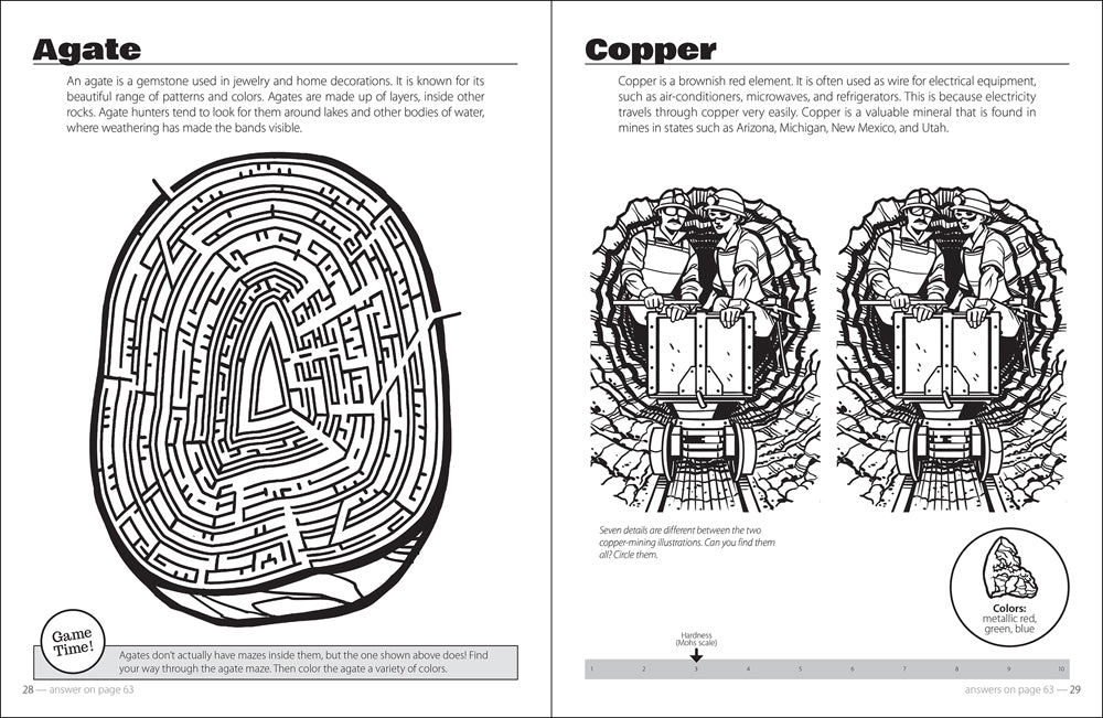 Rocks and Minerals Activity Book