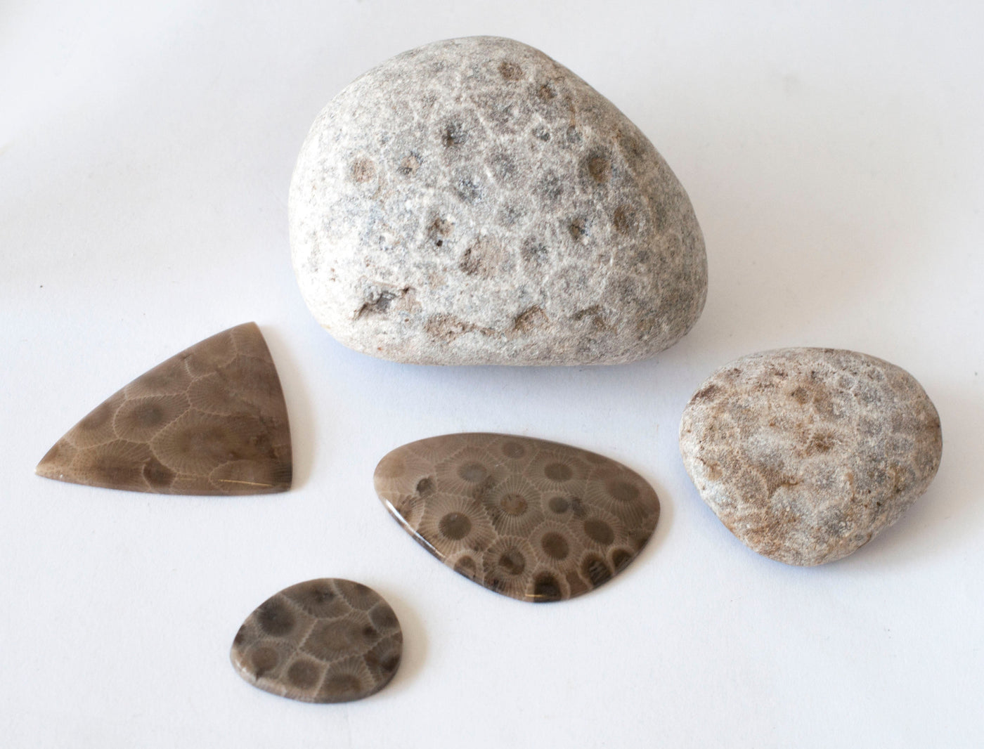Lapidary Class May 17, 10am-12:30pm