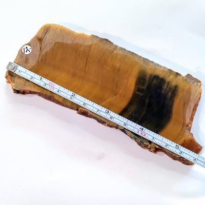 SLAB-008 Tiger Eye Slab