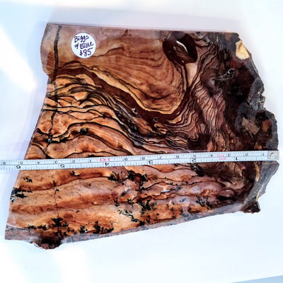 SLAB-012 Biggs Jasper Slab