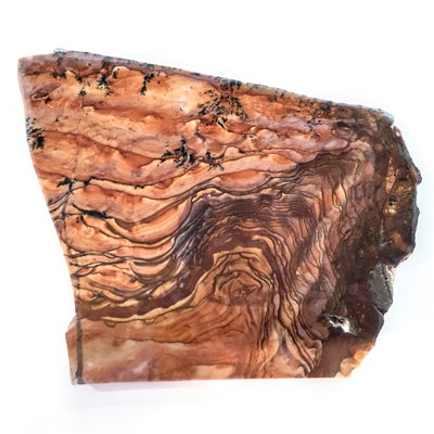 SLAB-012 Biggs Jasper Slab