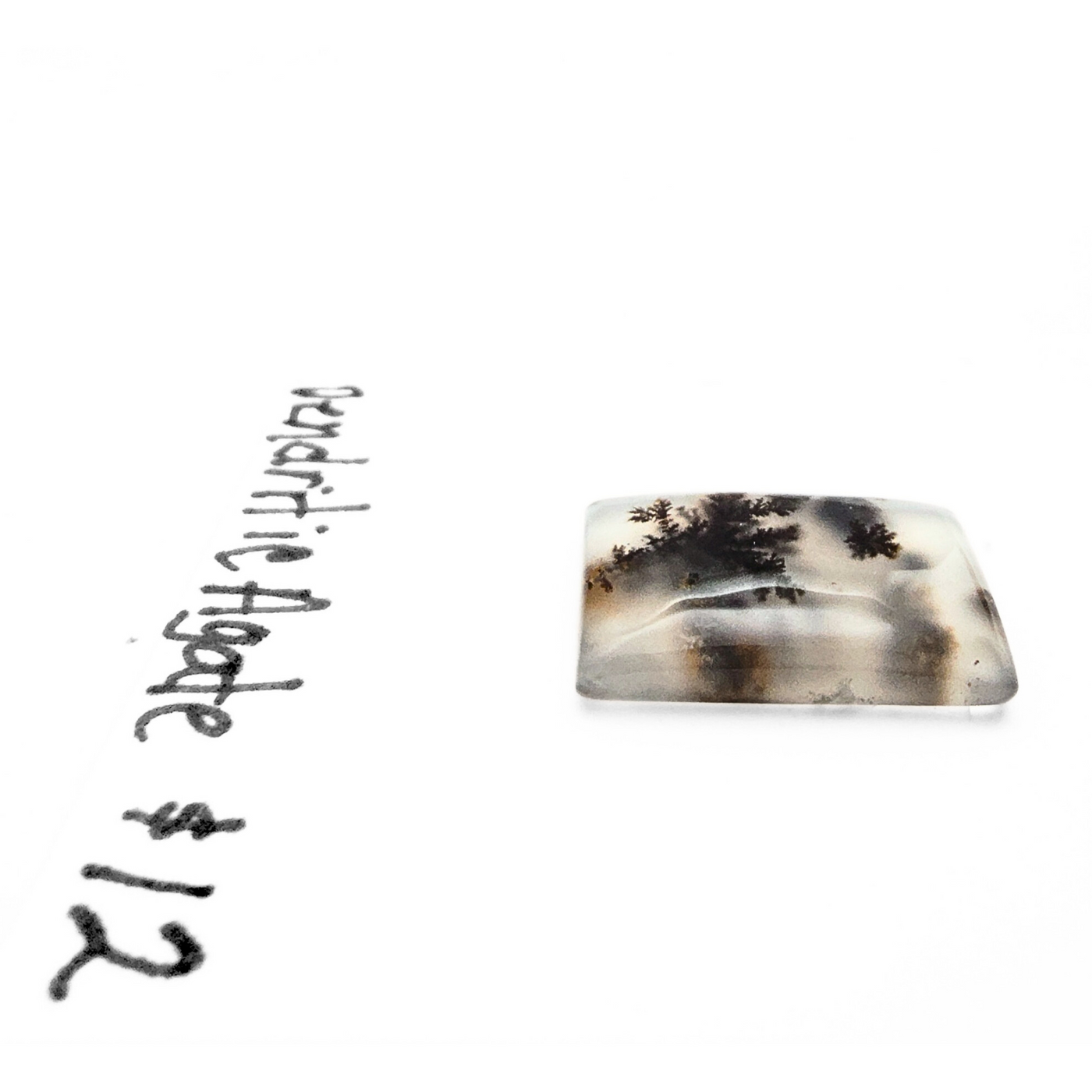 DAG-1003 Dendritic Agate Cab