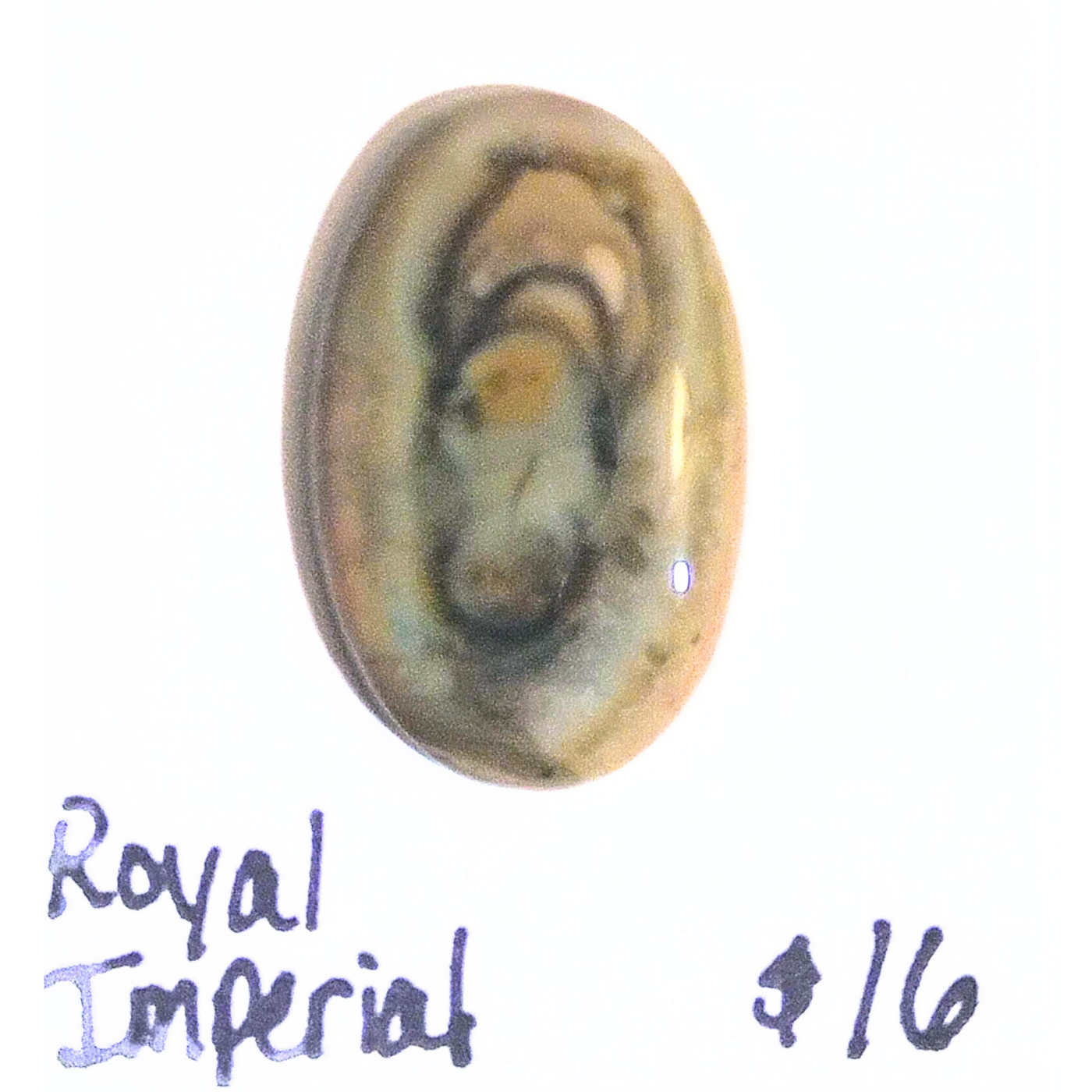 RIJ-1002 Royal Imperial Jasper Cab
