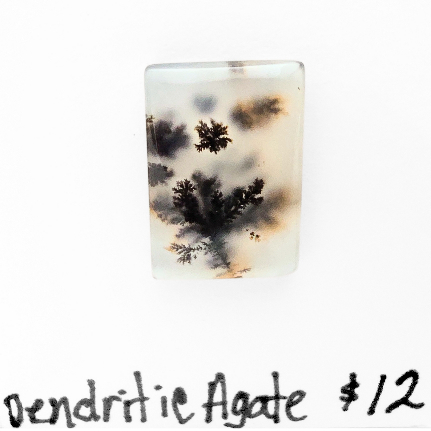 DAG-1003 Dendritic Agate Cab