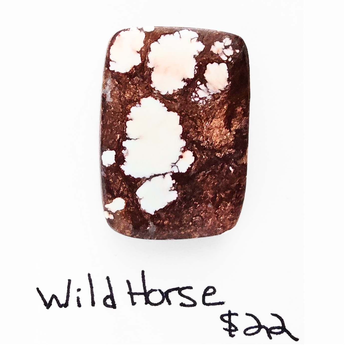 WHO-1007 Wild Horse Cab