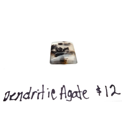 DAG-1003 Dendritic Agate Cab