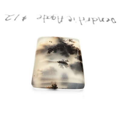 DAG-1003 Dendritic Agate Cab