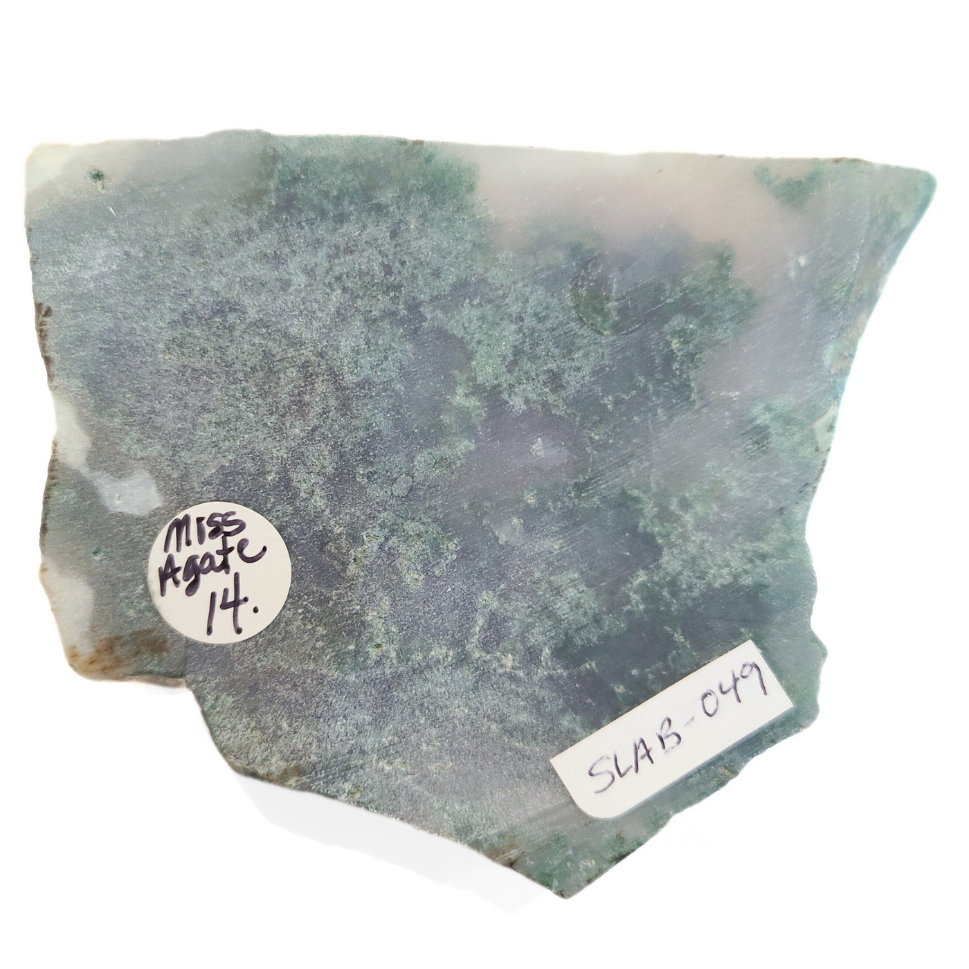 SLAB-049 Moss Agate Slab