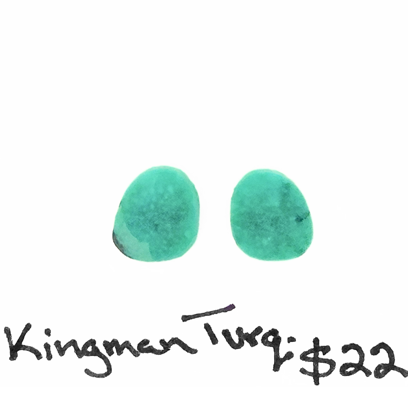 KTQ-1006 Kingman Turquoise Cabochon Pair