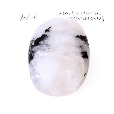 TMS-1001 Tourmalated Moonstone Cabochon