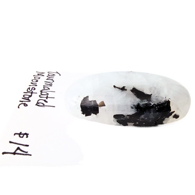 TMS-1001 Tourmalated Moonstone Cabochon