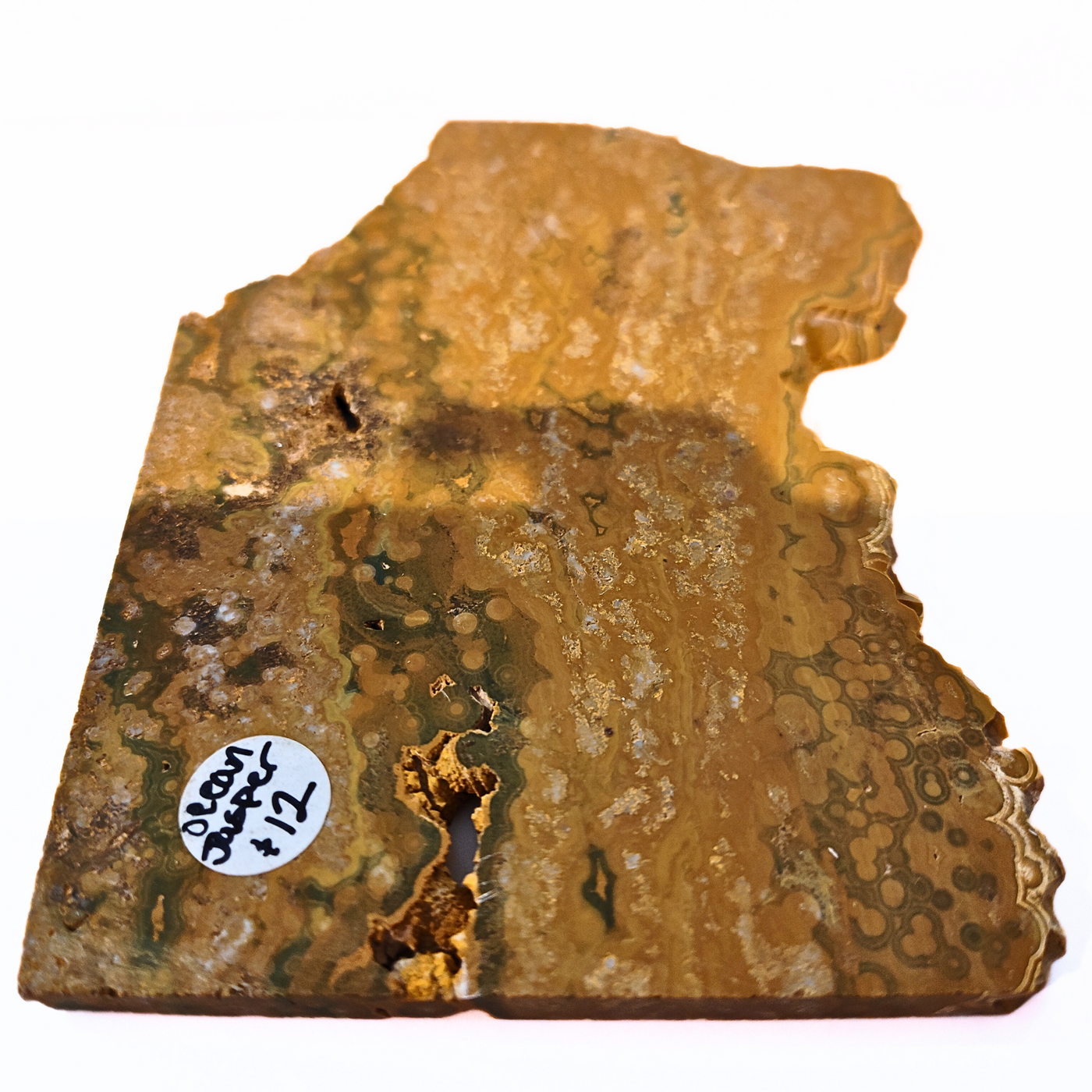 SLAB-028 Ocean Jasper Slab