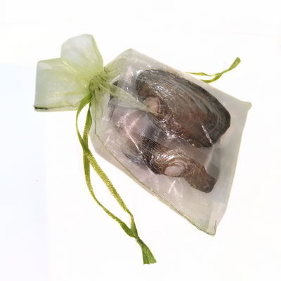 Pearl Party Oyster Bundle