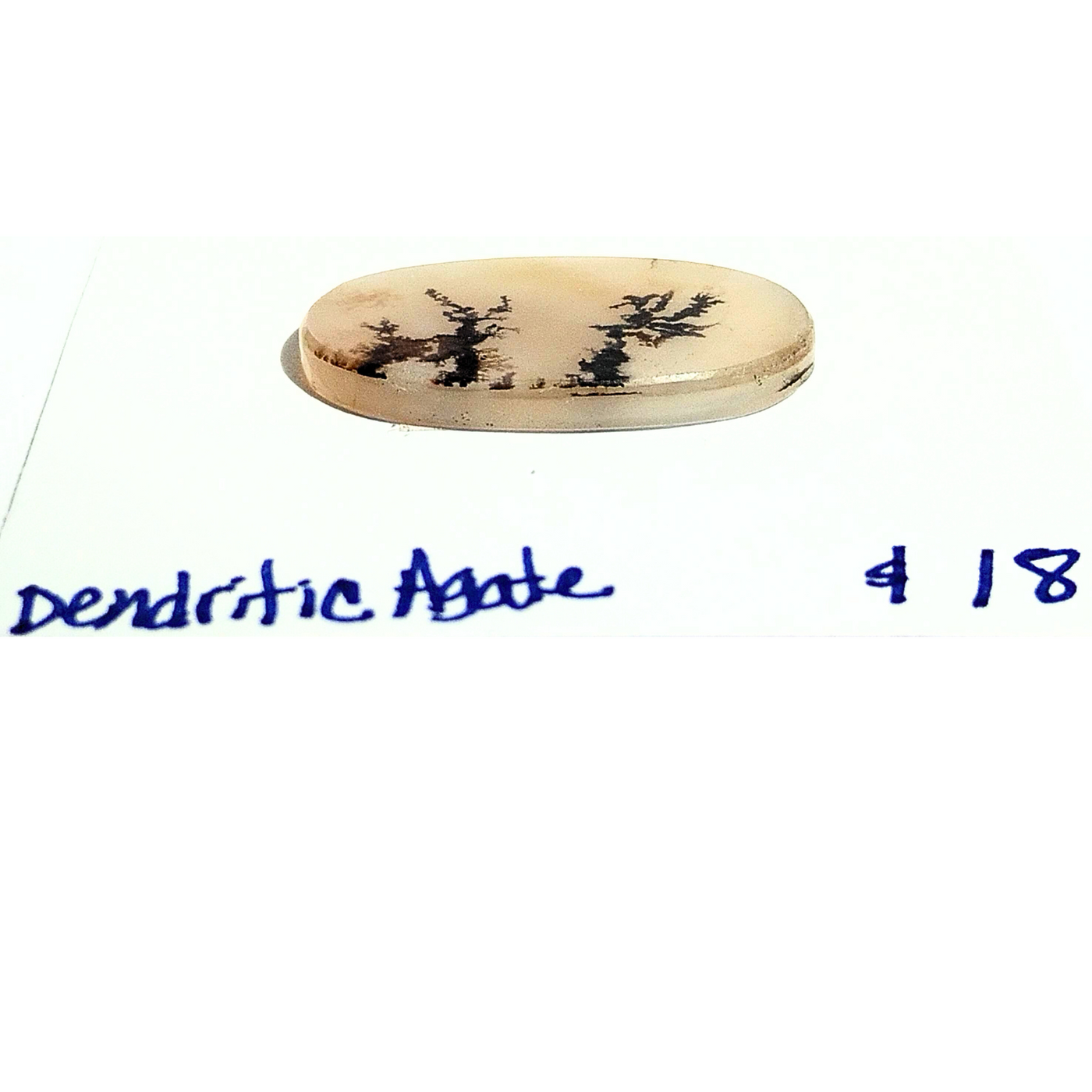 DAG-1001 Dendritic Agate Cab