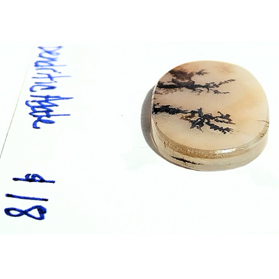 DAG-1001 Dendritic Agate Cab