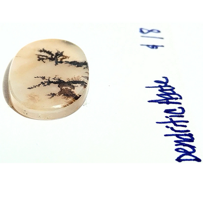 DAG-1001 Dendritic Agate Cab