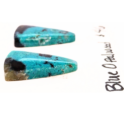 BOW-1001 Blue Opal Wood Cabochon Pair