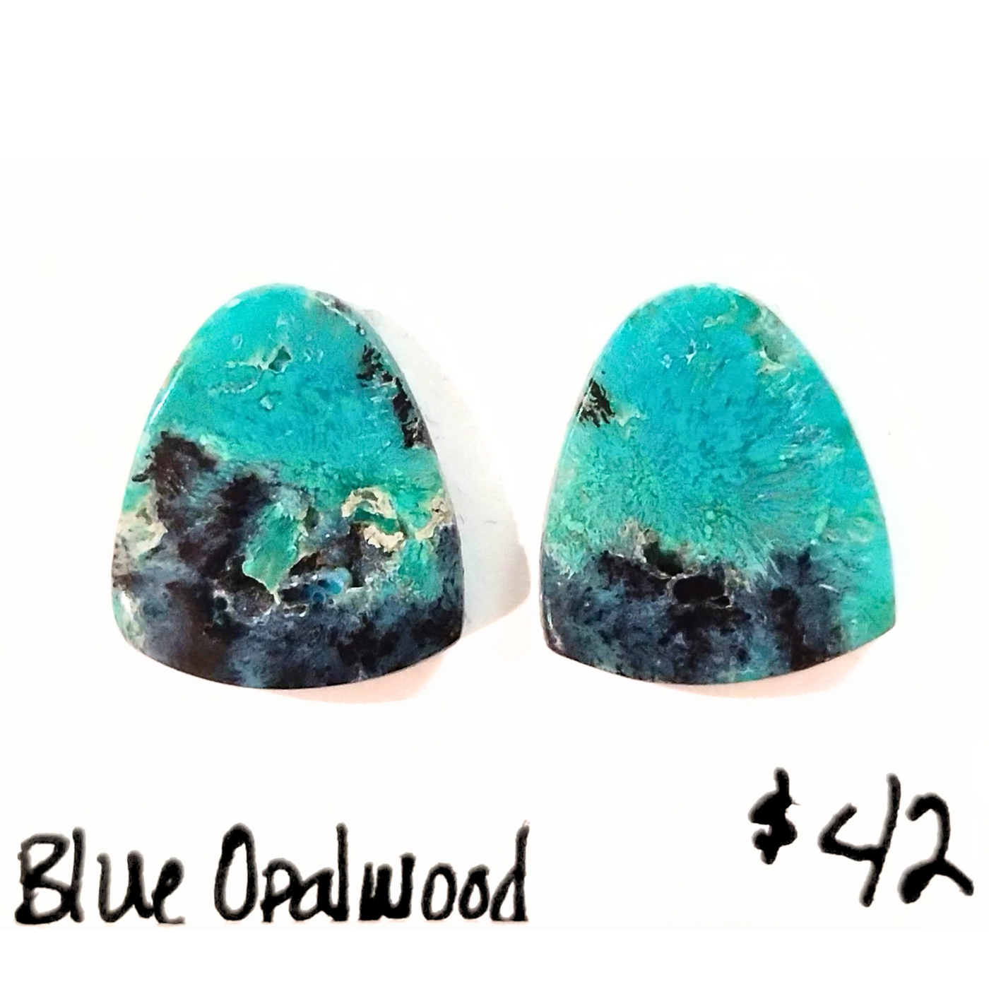 BOW-1000 Blue Opal Wood Cabochon Pair