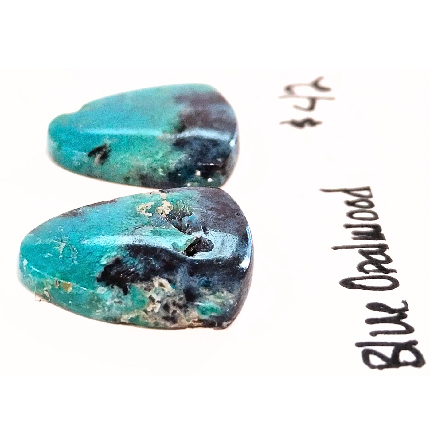 BOW-1000 Blue Opal Wood Cabochon Pair