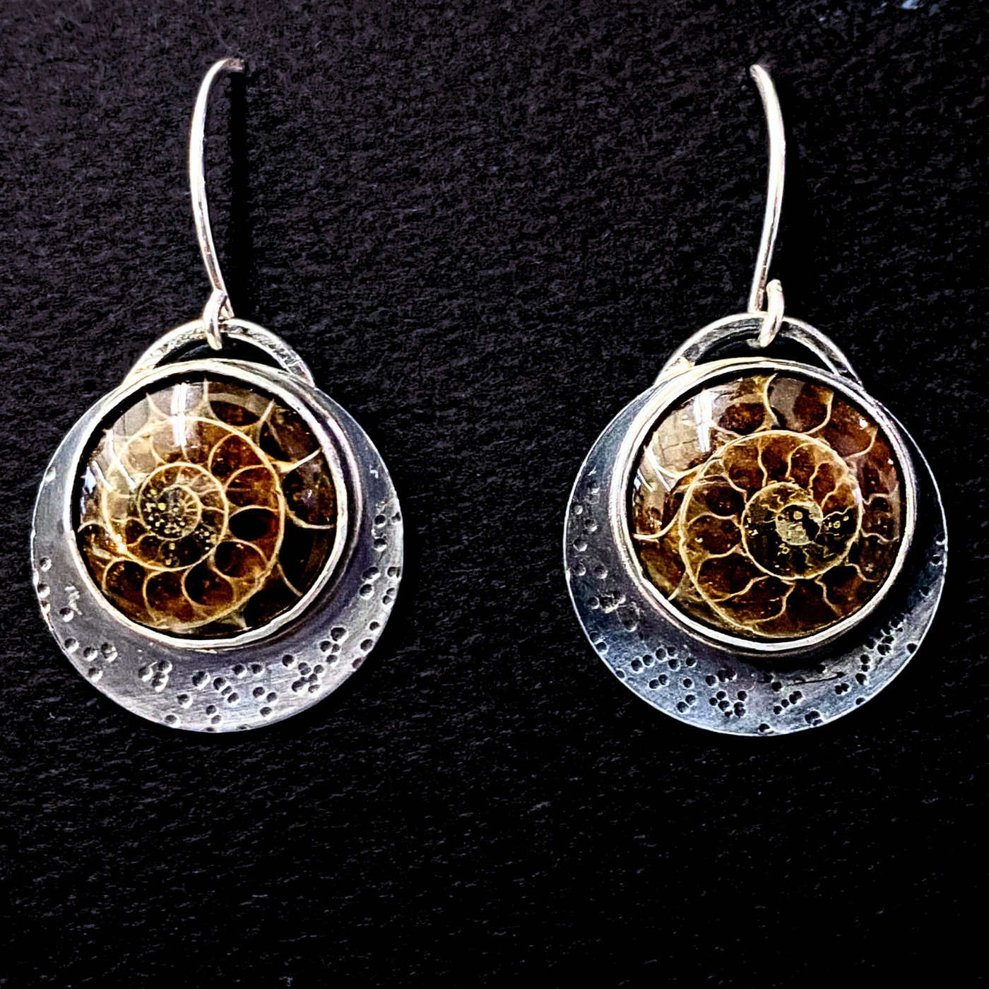 DS-106 Ammonite/SS Earrings