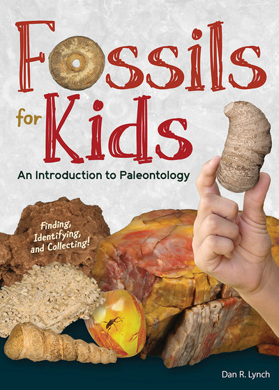 Fossils For Kids