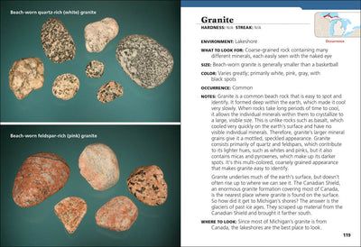 Michigan Rocks & Minerals