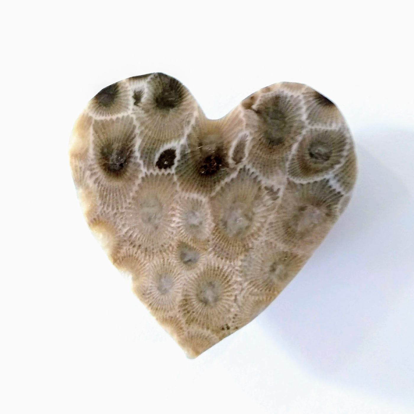 Petoskey Stone Heart Magnet
